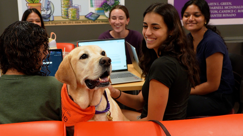 The lasting impact of VT Therapy dogs