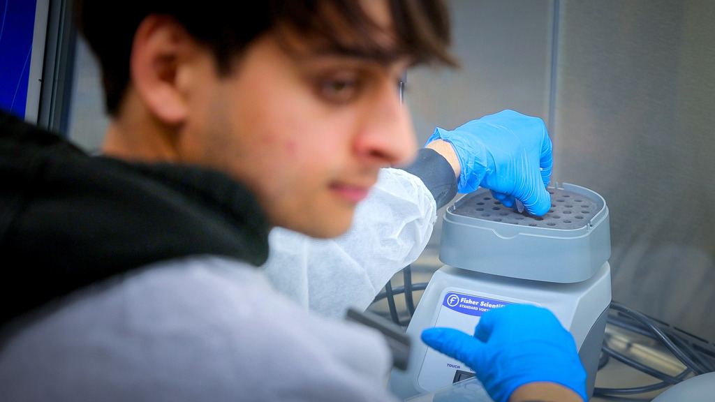 Undergraduate lab integrates COVID vaccine development