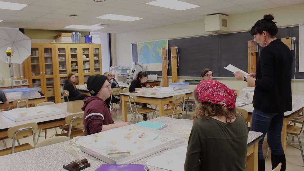 Michelle Stocker - fossil day in the Department of Geosciences