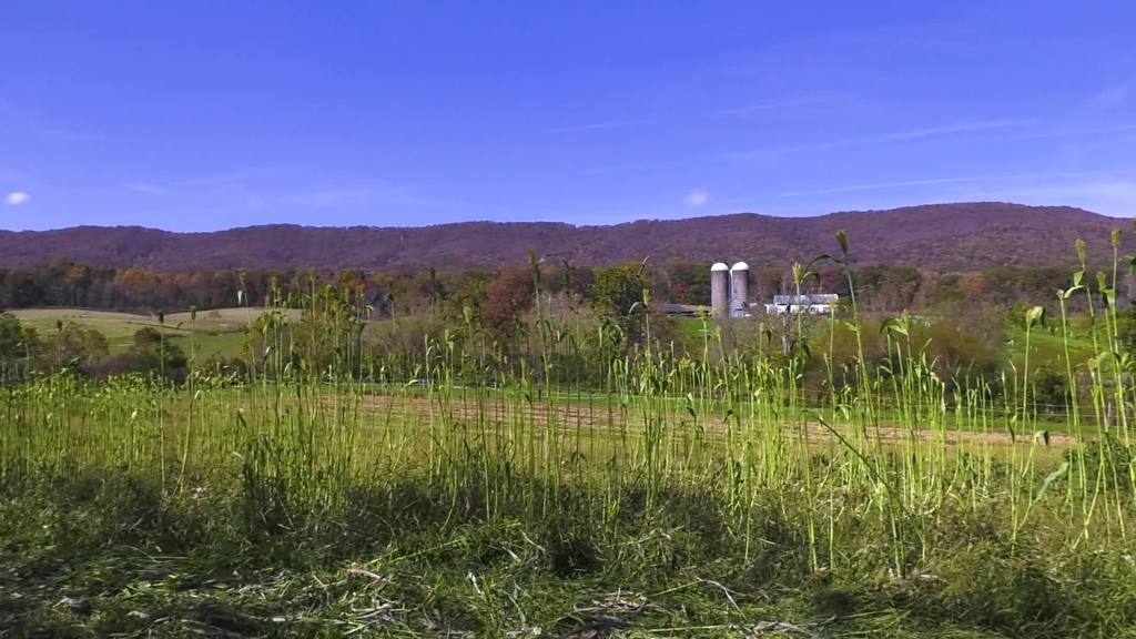 Catawba Sustainability Center studies role that Appalachian custom may have in future of local farms