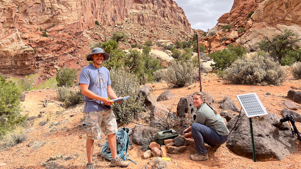 Bat biodiversity in the southwest