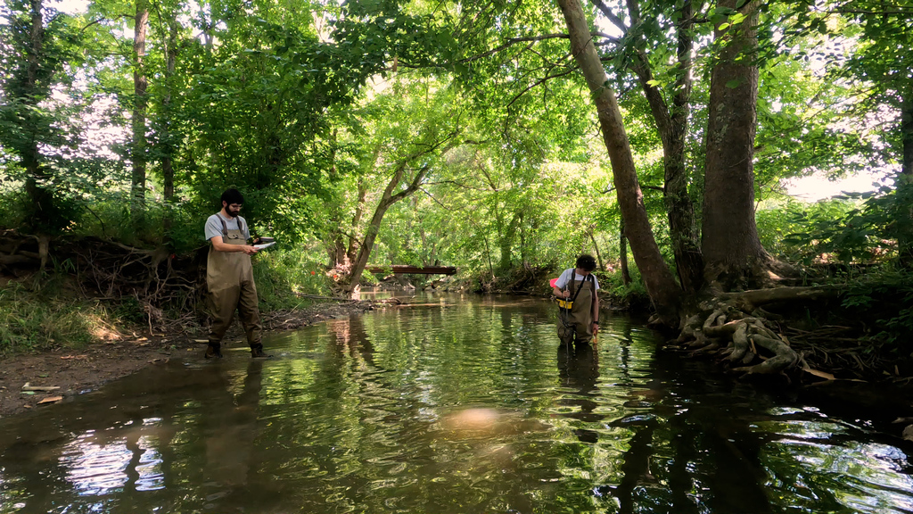 Monitoring bluehead chub nests