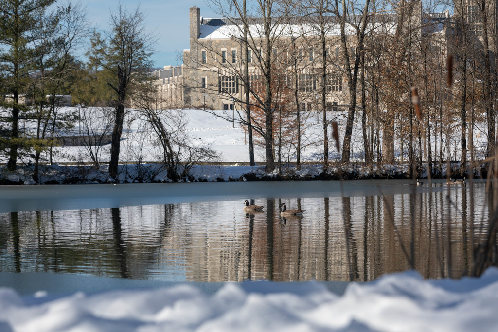 Sounds of the half-frozen Duck Pond