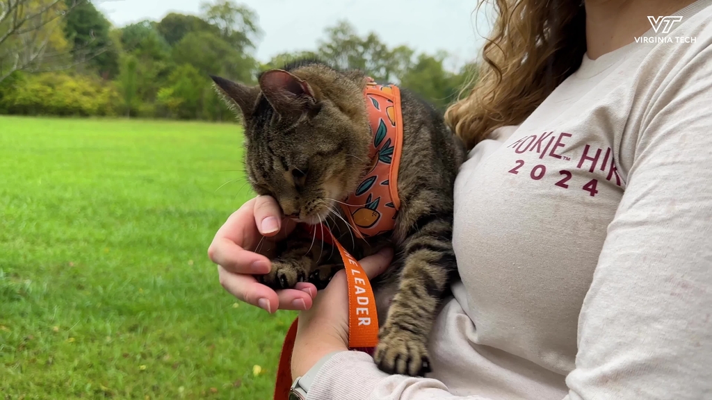 Veterinary School Resident and Feline Friend participate in Hokie Hike 2024