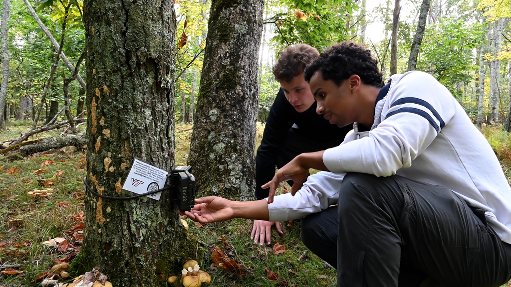 A snapshot of native wildlife research