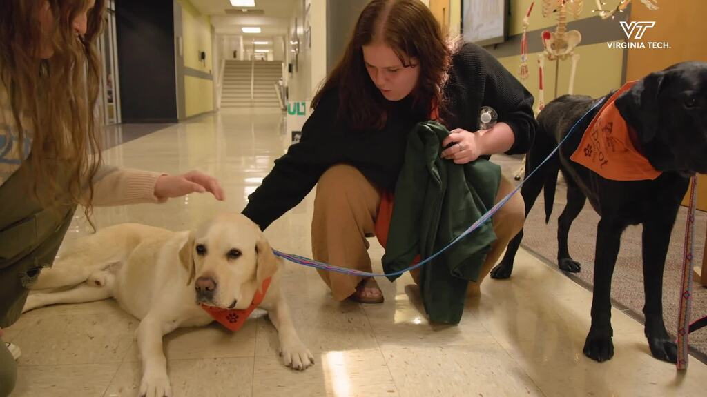 Virginia Maryland College of Veterinary Medicine Open House April 2024