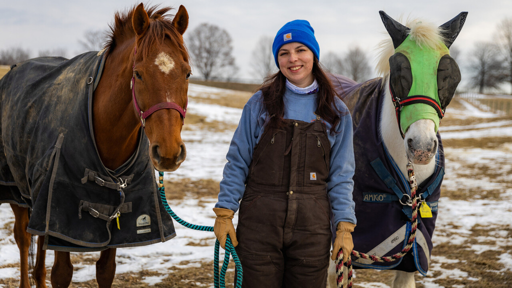 Early mornings at Virginia Tech's Equitation Barn