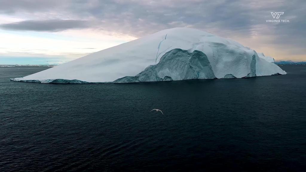 Researchers identify behavioral adaptations that may help Antarctic fishes to adapt to warming Southern Ocean