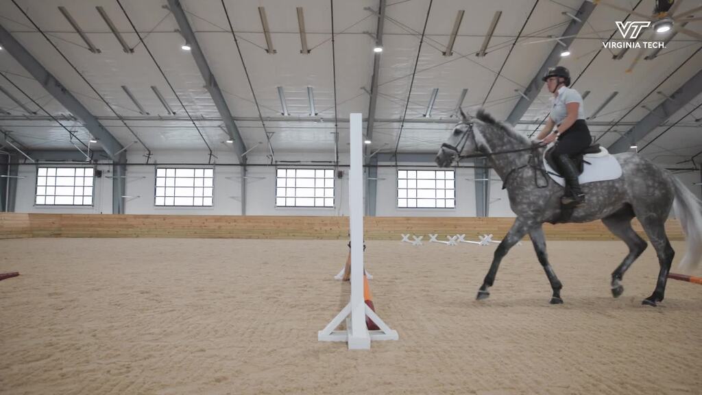 Indoor arena helps clinician solve mysterious lameness in competitive horse