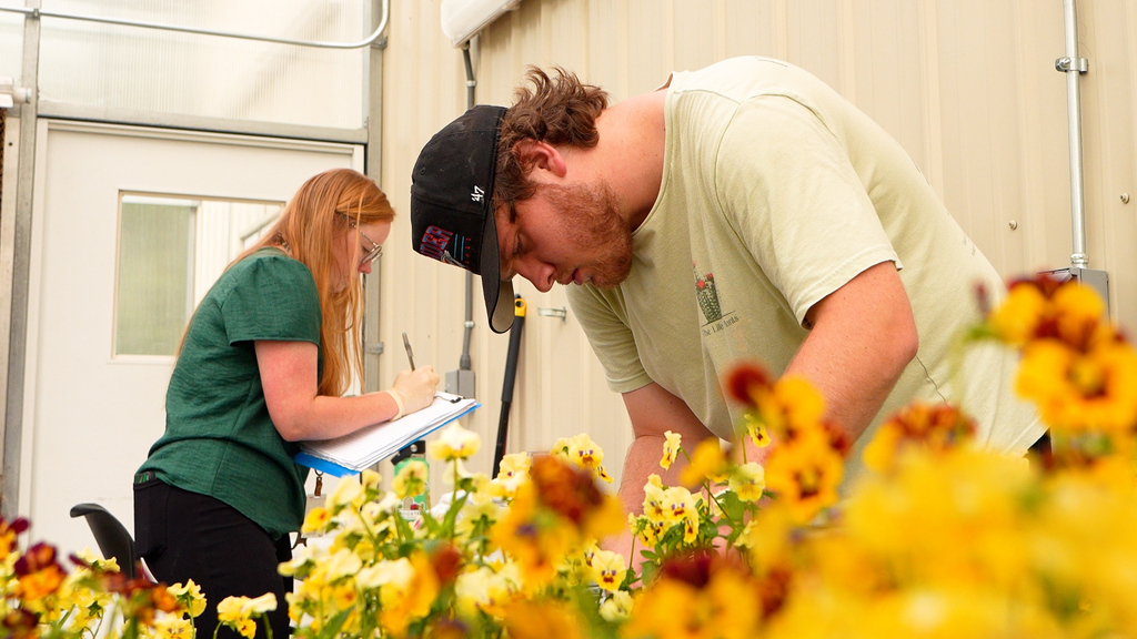 Undergraduate serves as vital assistant in edible plant research