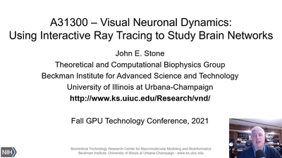 Visual Neuronal Dynamics: Using Interactive Ray Tracing to Study Brain Networks