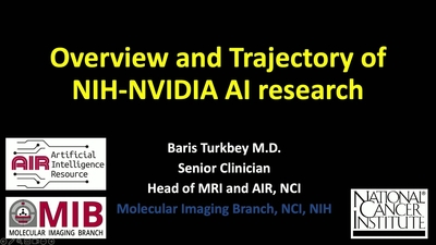 Building a Specialized Interactive Foundation Model for 3D CT Segmentation