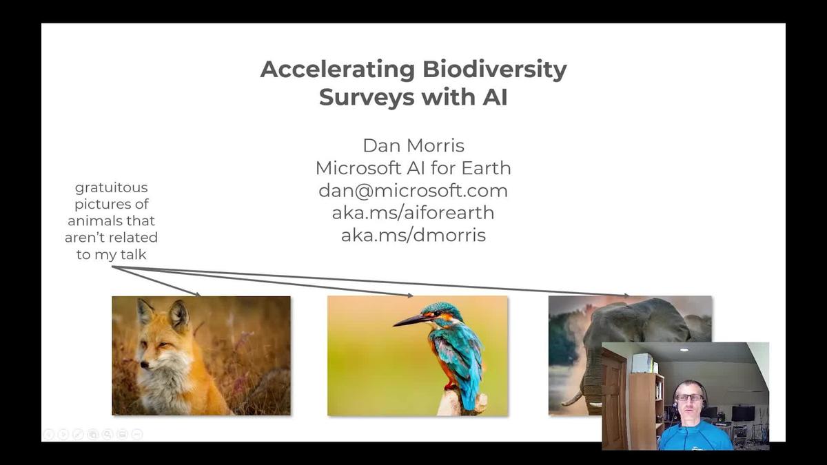 Accelerating Biodiversity Surveys with AI (Presented by Microsoft Azure ...