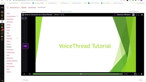 Thumbnail for Download a VoiceThread Video