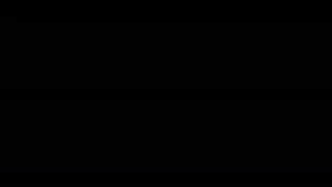 Thumbnail for RUA_CSS_2008_002