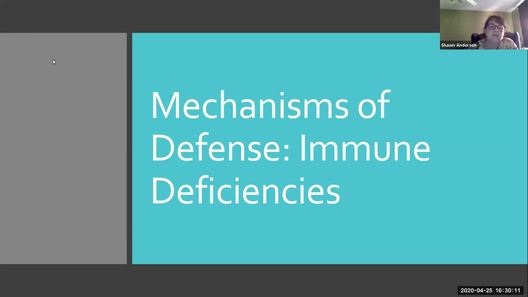 Mechanisms Of Defense Part 4