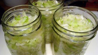 Sauerkraut fermentation microorganisms picture