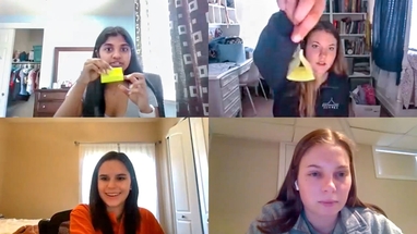 Lab Instructors Adapt To Remote Teaching Cornell Chronicle