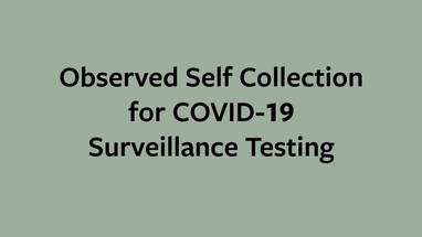 Surveillance Testing Covid 19 And Reactivation Planning Cornell University