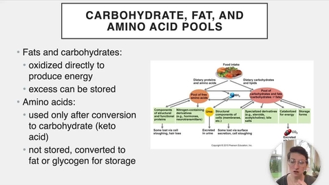 Thumbnail for Ch 24 X - Carb, Lipid, and Protein Pools