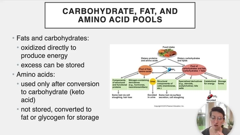 Thumbnail for entry Ch 24 X - Carb, Lipid, and Protein Pools