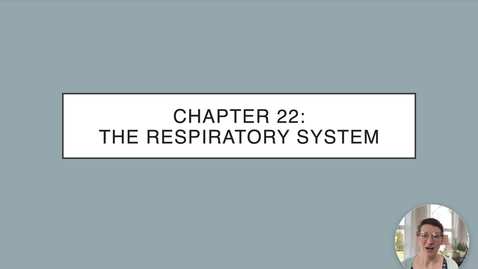 Thumbnail for entry Ch 22 I - Conducting Zone Pt 1