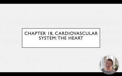 Chapter 18 Heart Anatomy Iwu Mediacentral
