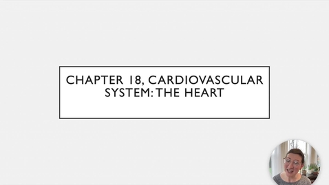 Thumbnail for entry Chapter 18 - Heart Anatomy