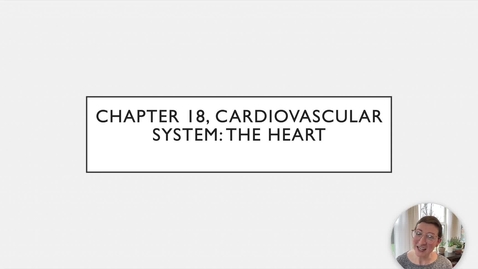 Thumbnail for Chapter 18 - Heart Anatomy