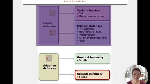 Thumbnail for entry Ch 21 VI - MHC Molecules