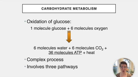 Thumbnail for Ch 24 IV - Glycolysis