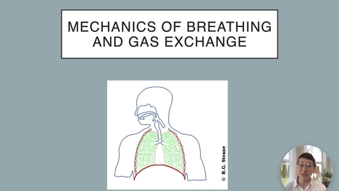 Thumbnail for Ch 22 IV - Respiratory Pressures
