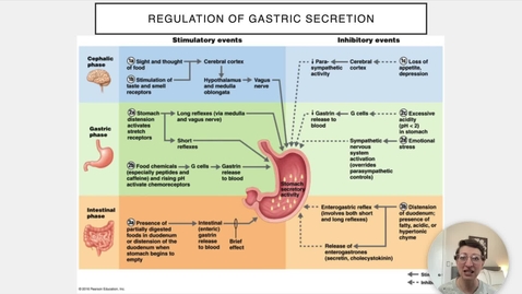 Thumbnail for entry Ch 23 VI - Regulation of Gastric Secretion