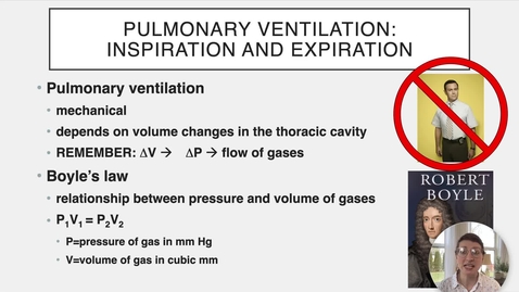 Thumbnail for entry Ch 22 V - Pulmonary Ventilation