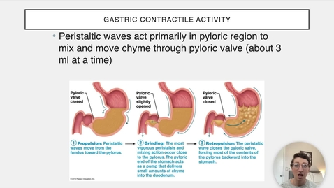 Thumbnail for Ch 23 VII - Gastric Contractions