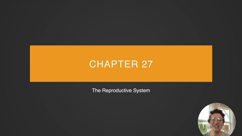 Thumbnail for entry Ch 27 I - Intro to the Reproductive System