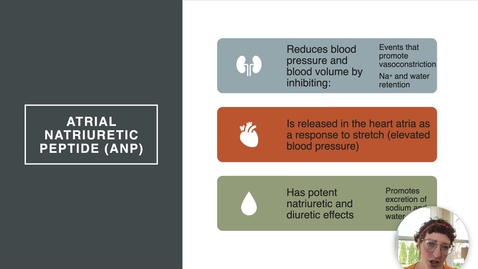 Thumbnail for entry Ch 26 VI - Electrolyte Balance - ANP, K, and Ca