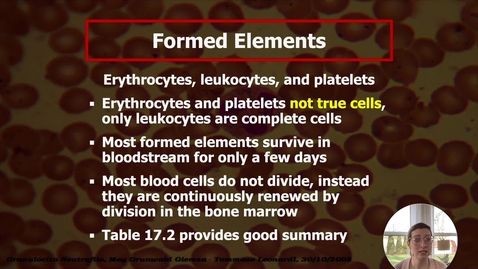 Thumbnail for Blood II - Erythrocytes