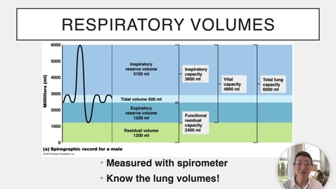 Thumbnail for Ch 22 VI - Lung Volumes