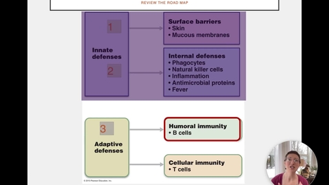 Thumbnail for Ch 21 IV - Humoral Response 