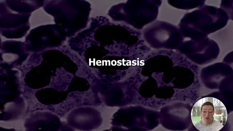 Thumbnail for entry Blood VII - Hemostasis