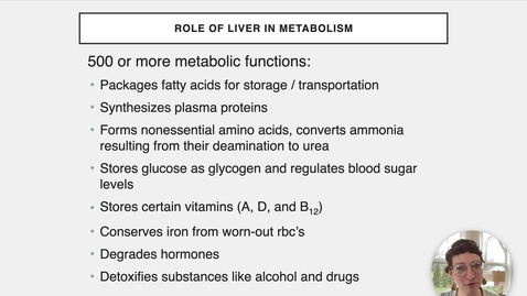 Thumbnail for entry Ch 24 XIV - Liver Metabolism