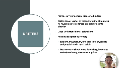 Thumbnail for entry Ch 25 IX - Ureters, Bladder, and Urethra