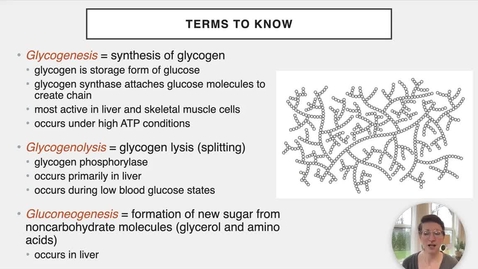 Thumbnail for entry Ch 24 VIII - Glycogenesis and Glycogenolysis