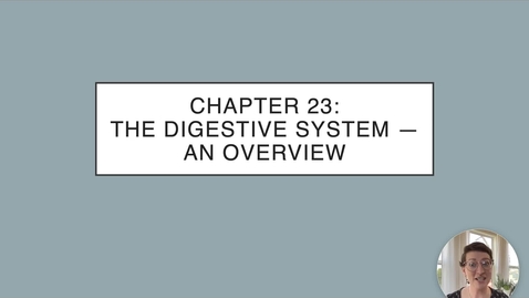 Thumbnail for Ch 23 I - Intro to the Digestive System