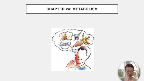 Thumbnail for entry Ch 24 I - Intro to Metabolism