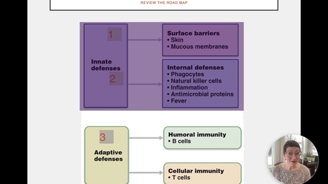 Thumbnail for entry Ch 21 II - Intro to the Adaptive Immune Response