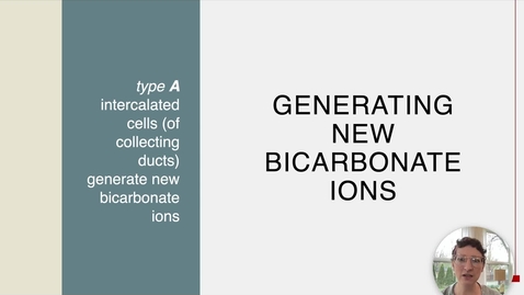 Thumbnail for Ch 26 IX - Bicarbonate Generation and Secretion