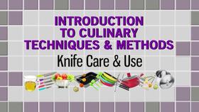 Culinary Arts Icev Online Cte Curriculum