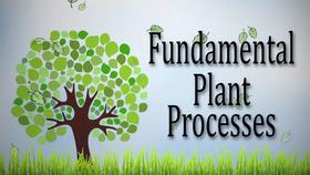 Featured image of post Floral Design Basics Principles And Elements Assessment Icev Answers - Test on floral design elements &amp; principles.